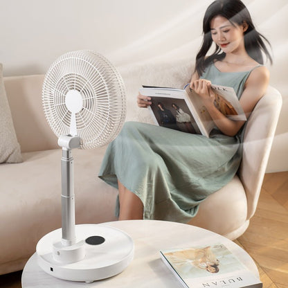 FC80 Floor Oscillating Fan Pro - Fan C